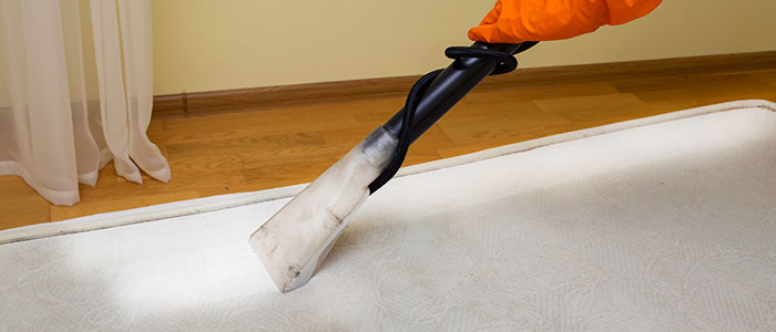 Brite Carpet Cleaning - Our Services - Mattress Cleaning
