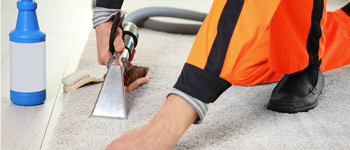 Brite Carpet Cleaning - Our Services